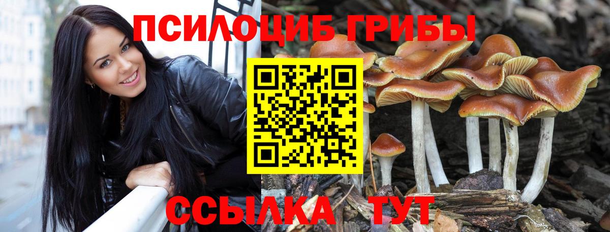 как найти   Вход с VPN  Галлюциногенные грибы ЛСД  Семилуки  Псилоцибиновые грибы MAGIC MUSHROOMS 